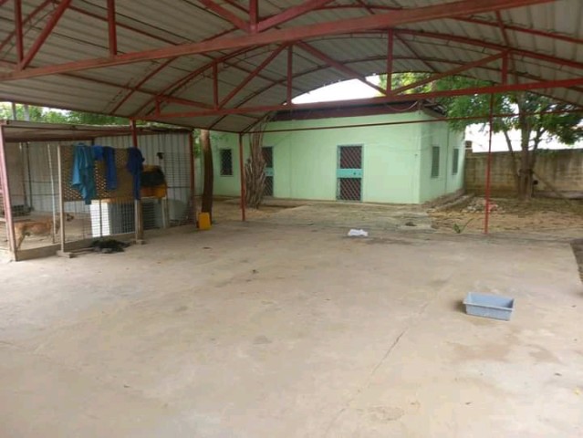 Venda Vende-se T5 grande 25/40