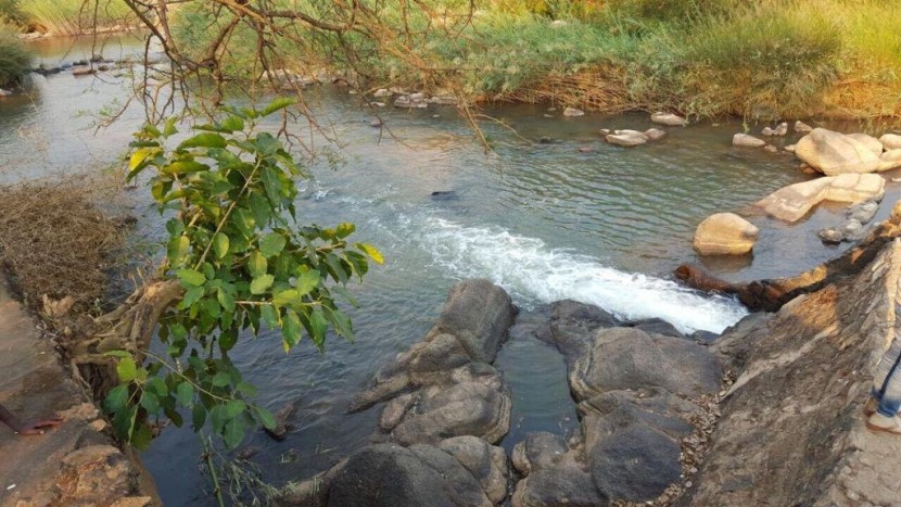 Venda TERRENO PROPÍCIO PARA SECTOR AGRÍCOLA 580 HECTARES EM MALANJE