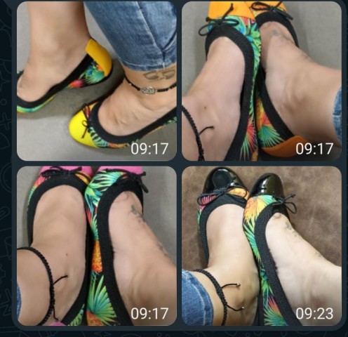 Venda Sabrinas Brasileira