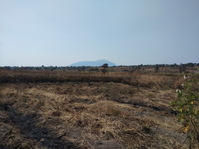 Venda Fazenda