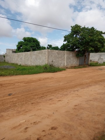 Venda Venda de uma casa com quintal. Kk5000