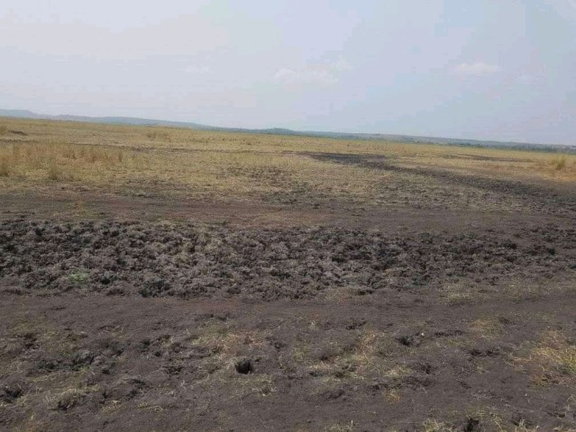 Venda BAIXA DE PREÇO, TERRENO PROPÍCIO PARA O SECTOR AGRÍCOLA 5000 HECTARES /PROVÍNCIA DE LUANDA