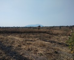 A venda TERRENO PARA AGROPECUÁRIA