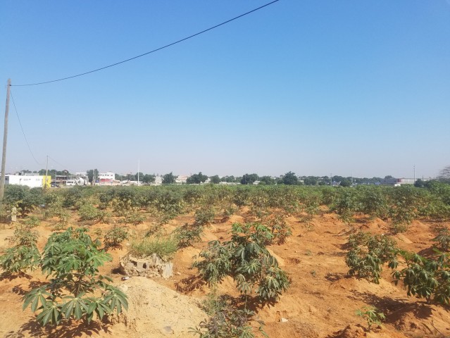 Venda VENDE-SE TERRENO DE 05 HECTARES ADSTRITO AO RESTAURANTE FININHO / ESTRADA ZANGO - CALUMBO, VIANA