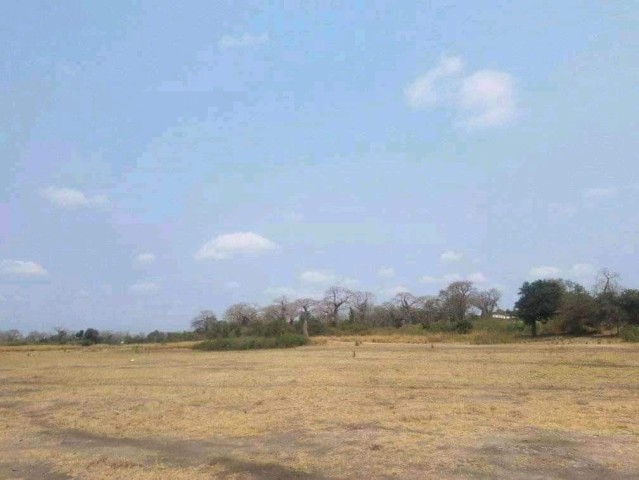 Venda TERRENO PROPÍCIO PARA SECTOR AGRÍCOLA 5000 HECTARES / BEIRA RIO