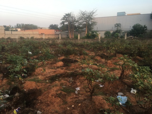 Venda *Terreno a venda*Dimensão: 60/30Já vedado *Viana/Vila ao pé da rádio difusão de Viana