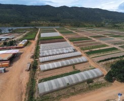 A venda MAGNÍFICA FAZENDA NO K. SUL serviços