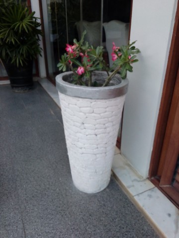 Venda Vasos artesanais