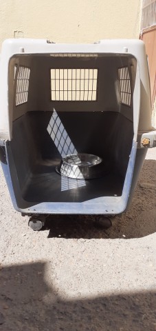 Venda Casota de cães