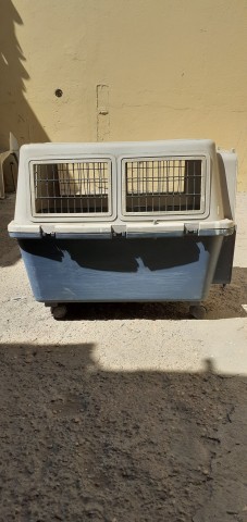 Venda Casota de cães