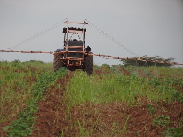 Venda MAGNÍFICA FAZENDA DE 1500 HECTARES, NO CUANZA NORTE, MUNICÍPIO DE AMBACA