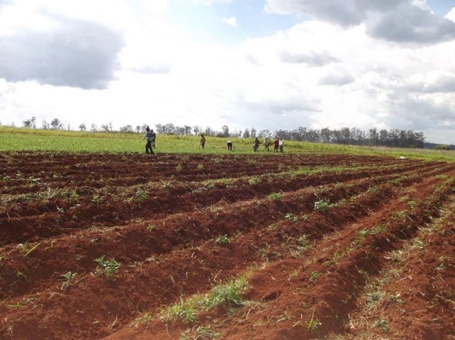Venda MAGNÍFICA FAZENDA DE 1500 HECTARES, NO CUANZA NORTE, MUNICÍPIO DE AMBACA