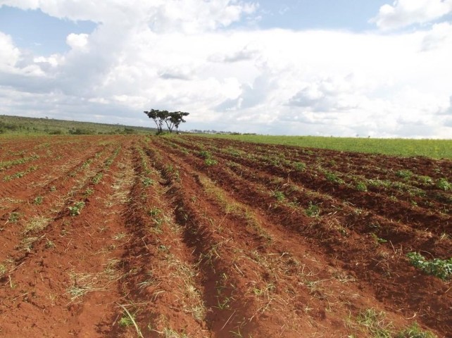 Venda MAGNÍFICA FAZENDA DE 1500 HECTARES, NO CUANZA NORTE, MUNICÍPIO DE AMBACA