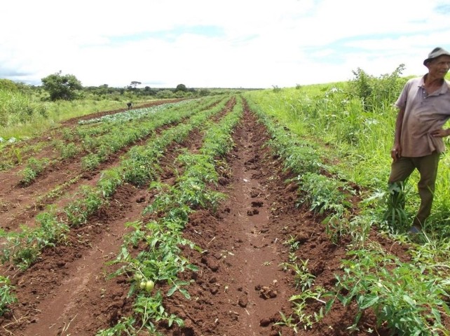 Venda MAGNÍFICA FAZENDA DE 1500 HECTARES, NO CUANZA NORTE, MUNICÍPIO DE AMBACA