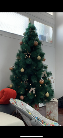 Venda Arvore de Natal 210cm
