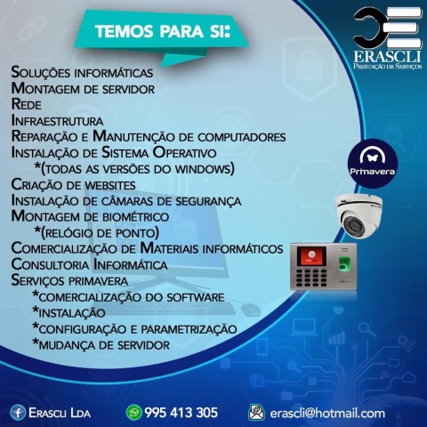 Venda Serviços de TI incluindo PrimaveraBss