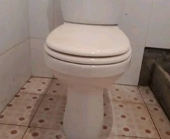 A venda Canalizador Pedro
