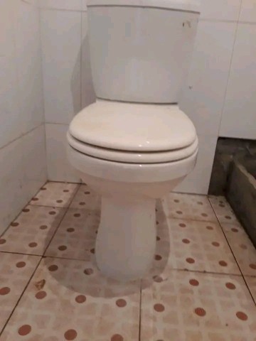 Venda Canalizador Pedro