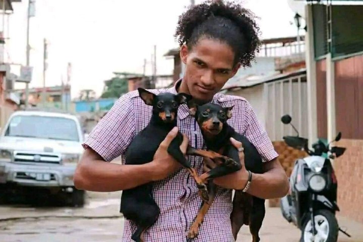 Venda Canil Mente7 Canina tem várias raças em criação