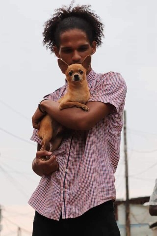 Venda Canil Mente7 Canina tem várias raças em criação