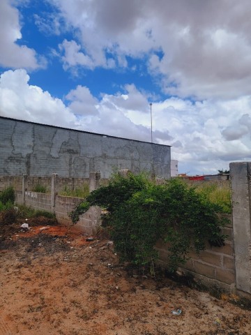 Venda Terreno