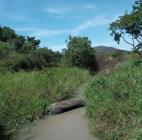 Venda Terreno agrícola, na Comuna do Quissango, Kwanza Sul