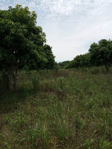 Venda Terreno agrícola, na Comuna do Quissango, Kwanza Sul
