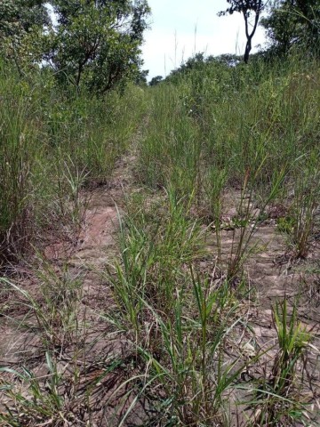 Venda Terreno agrícola, na Comuna do Quissango, Kwanza Sul