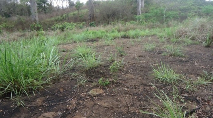 Venda FAZENDA DE MIL HECTARES, KIKABO Serviços