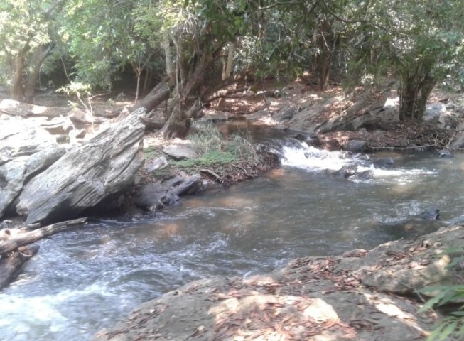 Venda FAZENDA DE MIL HECTARES, KIKABO Serviços