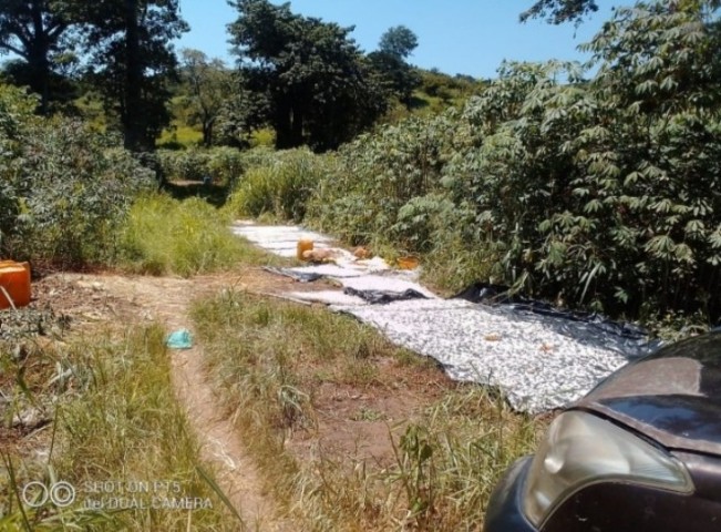 Venda FAZENDA DE MIL HECTARES, KIKABO Serviços