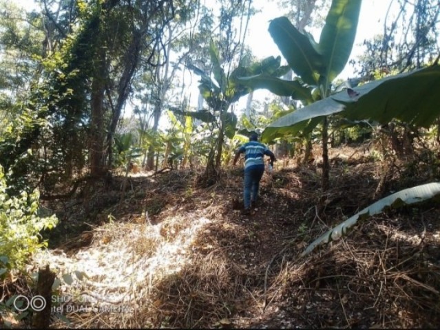 Venda FAZENDA DE MIL HECTARES, KIKABO Serviços