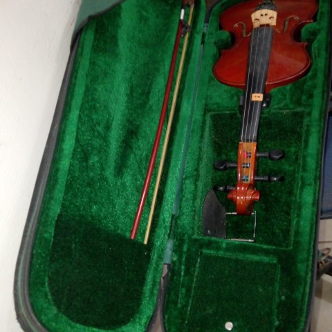 Venda VIOLINO