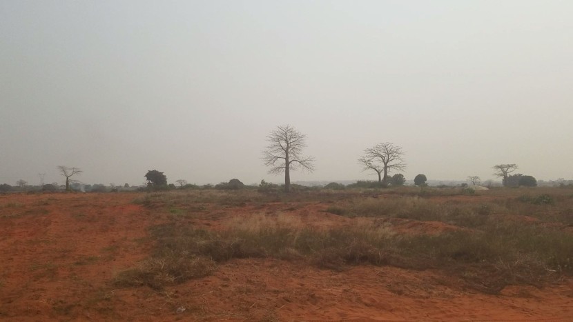 Venda Terreno de 2 hectares, no Zango 5000