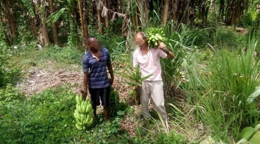 Venda Fazenda de 10 mil hectares no Bengo, dande serviços