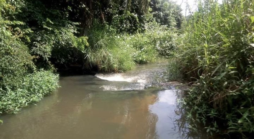 Venda Fazenda de 10 mil hectares no Bengo, dande serviços