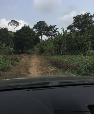 Venda Fazenda de 10 mil hectares no Bengo, dande serviços