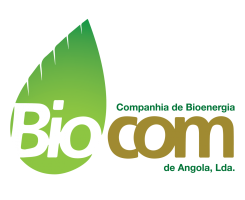 A venda Candidatura Espontânea para a Biocom Angola