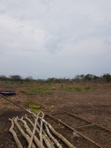 Venda Terra a venda 10 hectares na Quiminha(bengo)