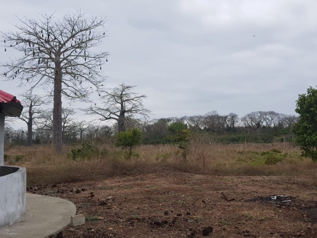 Venda Terra a venda 10 hectares na Quiminha(bengo)