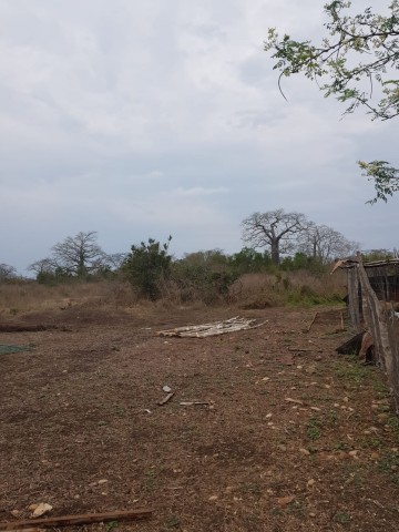 Venda Terra a venda 10 hectares na Quiminha(bengo)