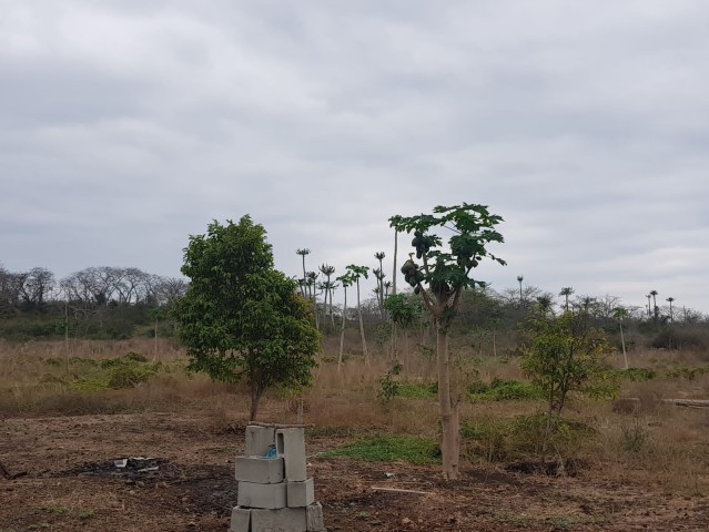 Venda Terra a venda 10 hectares na Quiminha(bengo)