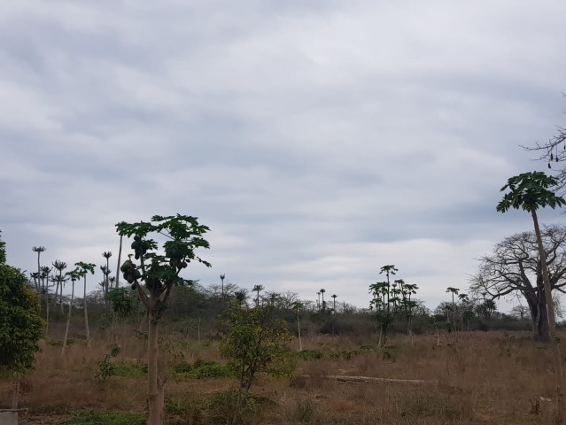 Venda Terra a venda 10 hectares na Quiminha(bengo)