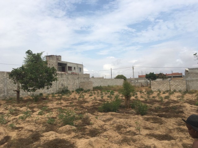Venda Terreno 30/20