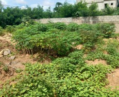 A venda Terreno 25/15 já vedado