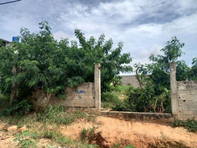 Venda Terreno 25/15 já vedado
