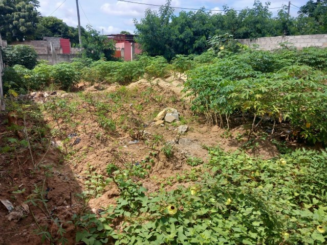 Venda Terreno 25/15 já vedado
