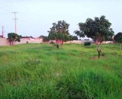 A venda Venda