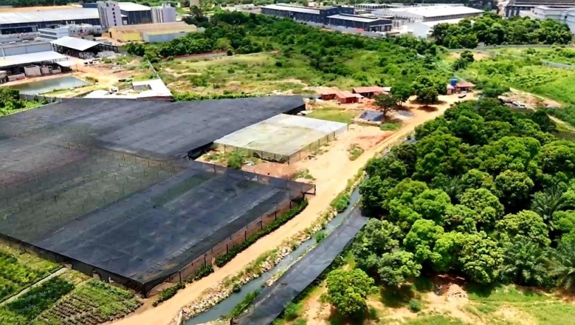 Venda VENDE-SE TERRENO DE 15 HECTARES VIA EXPRESSA