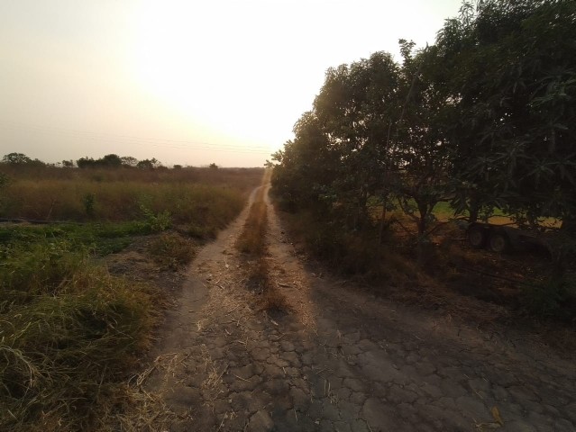 Venda Terreno/ Fazenda 4 hectares